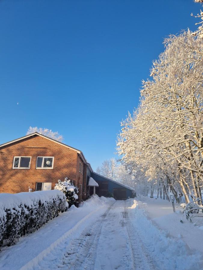 Ferienwohnung Sort Sol Grellsbuelldeich 7 Aventoft Exterior foto