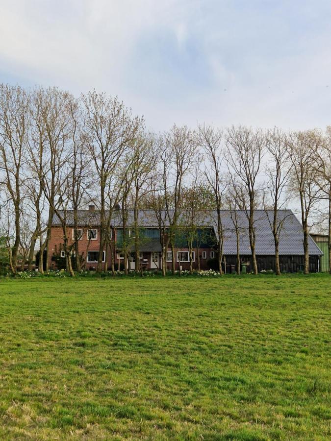 Ferienwohnung Sort Sol Grellsbuelldeich 7 Aventoft Exterior foto